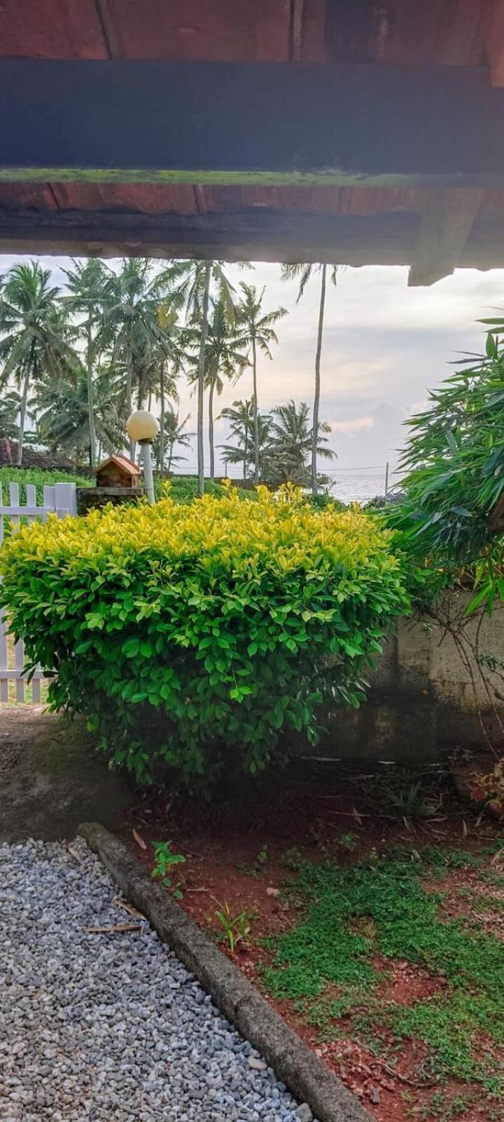 Sherly Cottages バルカラ エクステリア 写真